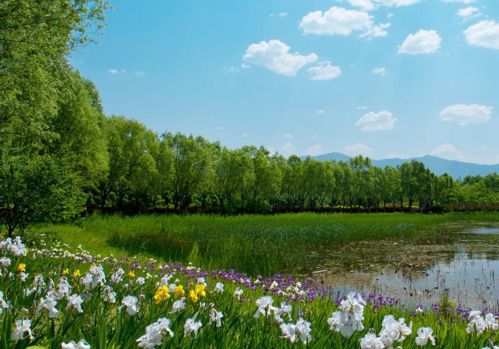 四川·德阳市·中江黄鹿滩旅游景区