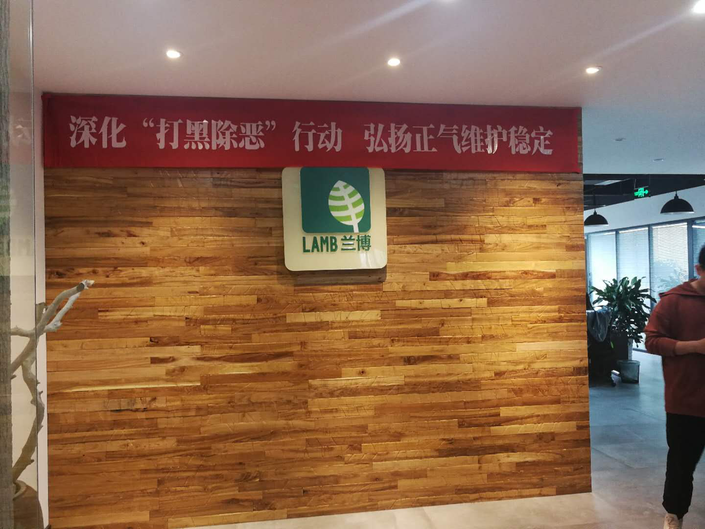 成都兰博旅游项目策划有限公司 关于扫黑除恶工作专题